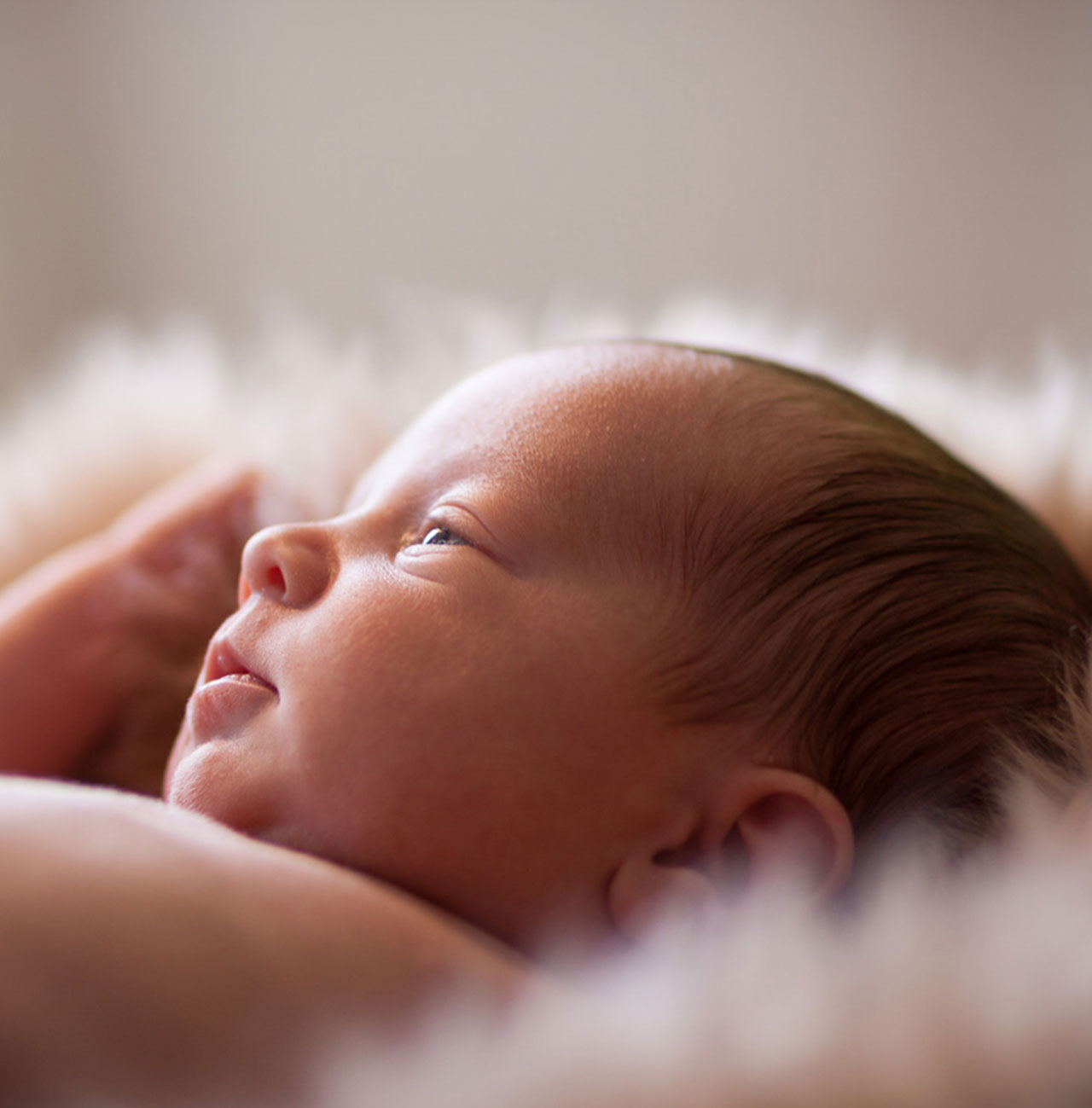 Newborn und Babyfotografie